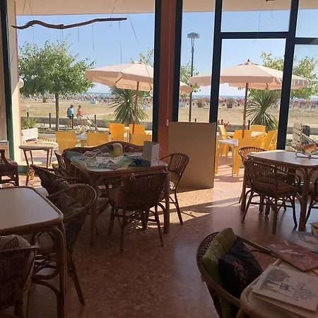 Karibe ביביונה